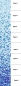 Preview: Glasmosaik Farbverlauf weiss hellblau dunkelblau Duschwand Bad Mosaikfliesen Shading Blend Sfumature - Art: 300-401