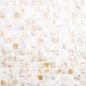 Preview: Mosaik Fliese Muschel Perlmutt Hellbeige Küchenrückwand Fliesenspiegel Wand - 150-SM203