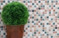 Preview: Mosaico de marmol Mosaico de piedra natural crema beige rojo verde Random 38-1204