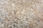 Preview: Carreau Noce Antique Travertin noyer mat R10C