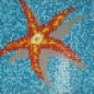 Mobile Preview: Seestern Mosaik Bild Glasmosaik orangegelb Bild papierverklebt 1.164x1.164mm MB-K39P