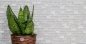 Preview: Mosaico Ladrillo Vidrio mosaico de piedra mezcla blanca mezcla translucida albanileria mirada brillante