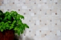 Mobile Preview: Travertin Mosaik Fliese selbstklebend Natursteinmosaik Beige Braun Mix Wandverblender Küche - 200-4CM14