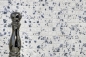 Preview: Mosaico cuadrado Fresa ceramica Delft look mezcla blanco azul brillante