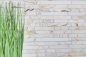 Preview: Mosaique Brick golden cream polie avec structure Marbre aspect maconnerie