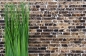 Preview: Mosaique Brick Impala brun flamme Marbre aspect maconnerie mix mat