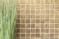 Preview: Mosaique Carre ECO uni satin or verre mat