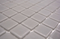 Preview: Mosaikfliese Poolmosaik Schwimmbadmosaik Grau Betongrau Dusche Wand SPAIN - 220-25108U