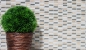 Preview: Riemchen Rechteck Mosaikfliesen Glasmosaik Stäbchen mini beige creme goldbeige Naturstein Küchenrückwand Bad WC Wand - 87-1412