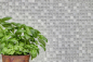 Preview: Mosaico cuadrado de vidrio mosaico de piedra mezcla blanca mezcla translucida brillante