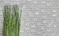 Preview: Mosaico Ladrillo Vidrio mosaico de piedra mezcla blanca mezcla translucida albanileria mirada brillante