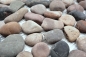 Preview: Flusskiesel Steinkiesel Kiesel beige grau anthrazit mehrfarbig gewölbt Steinteppich 30-1204