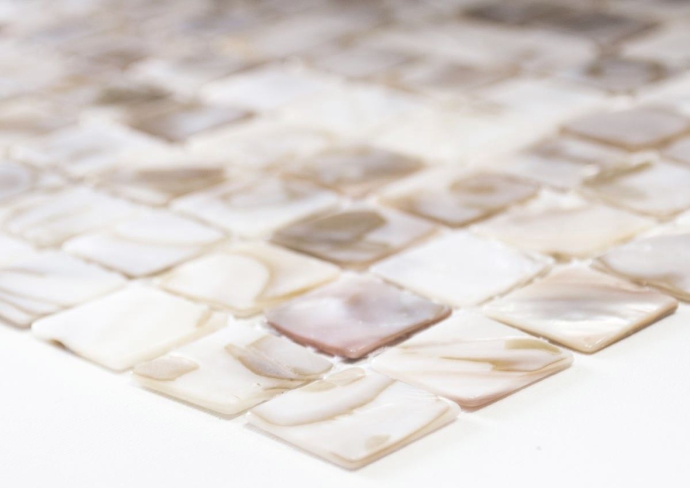 Mosaik Fliese Muschel Perlmutt Hellbeige Küchenrückwand Fliesenspiegel Wand - 150-SM203