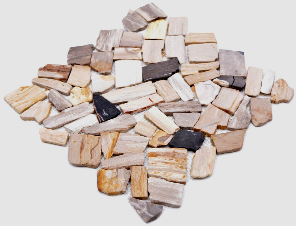 Mosaique de pierre naturelle fossile Polygonal Bruch Mosiakmatte Wood aspect bois Receveur de douche cuisine Mur - 44-Fossile
