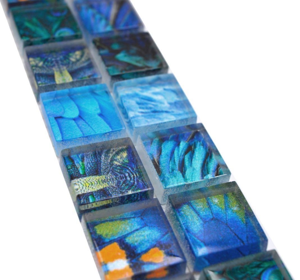 Mosaik Borde Bordüre Glasmosaik Tierwelt PFAU BIRD Hellblau Dunkelblau
