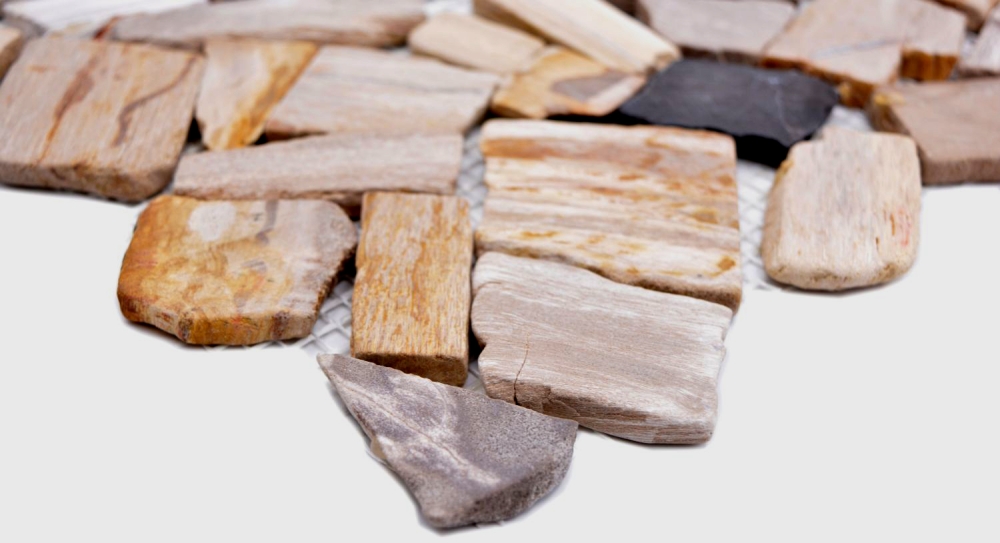 Mosaique de pierre naturelle fossile Polygonal Bruch Mosiakmatte Wood aspect bois Receveur de douche cuisine Mur - 44-Fossile