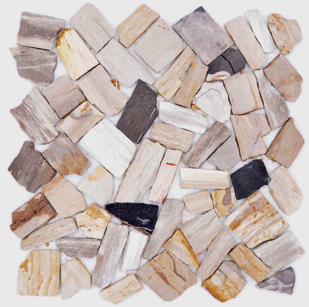 Mosaique de pierre naturelle fossile Polygonal Bruch Mosiakmatte Wood aspect bois Receveur de douche cuisine Mur - 44-Fossile